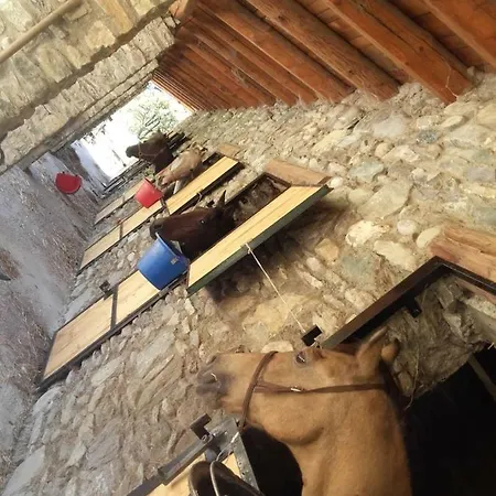 Al Pra Di Muriet Bauernhof