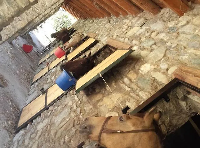 Al Pra Di Muriet Gospodarstwo agroturystyczne